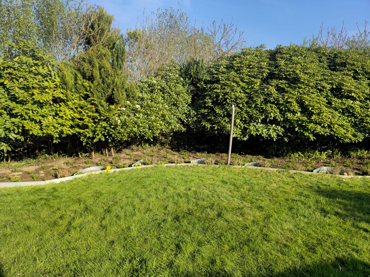 Gepflegte Hecke mit frisch gemähtem Rasen