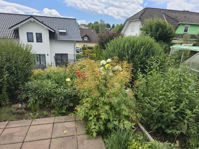 Üppig blühender Garten mit Plattenweg