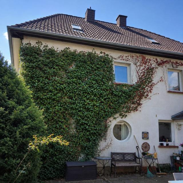 Efeubewachsene Hausfassade vor dem Rückschnitt