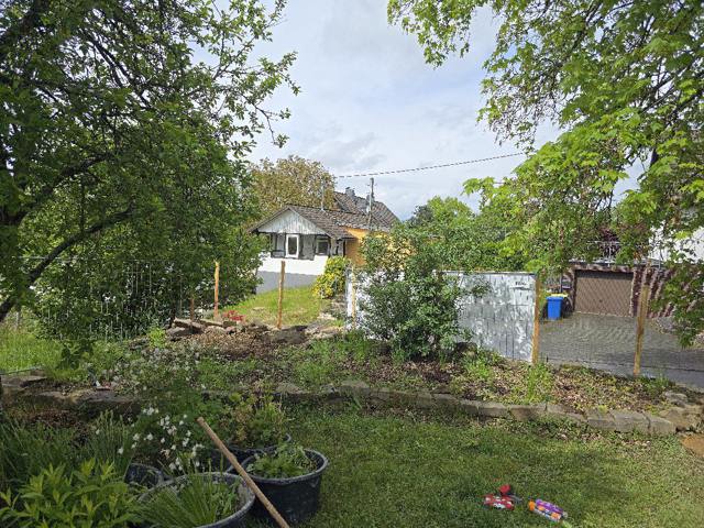 Gartenumbau in Vorbereitung mit bereitgestellten Pflanzen