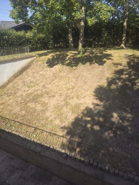 Neu vorbereitete Rasenfläche