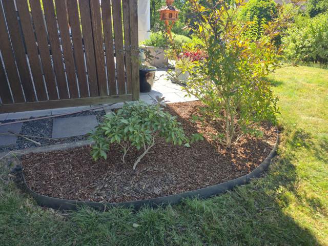 Rundbeet mit Rindenmulch am Sichtschutzzaun