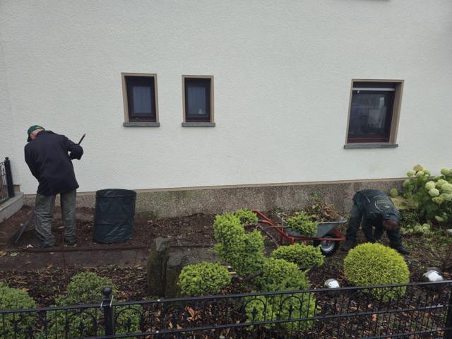 Das Team bei der Beetpflege mit Buchskugeln