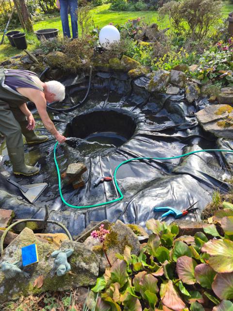 Teichbau: Teichfolie wird verlegt