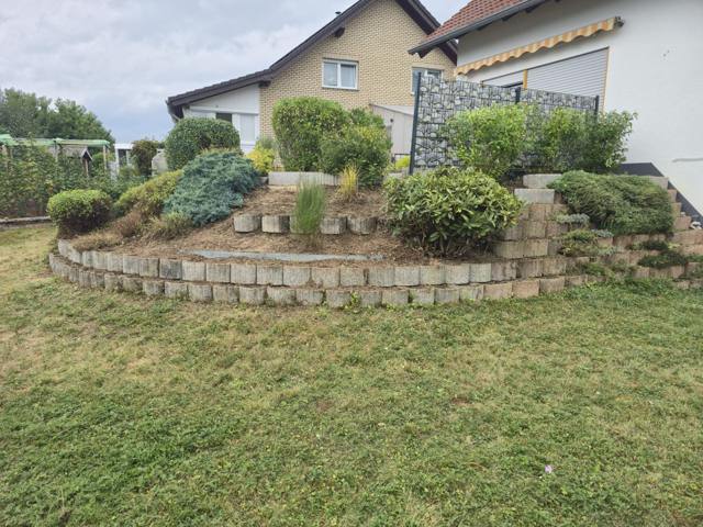 Terrassierte Beete mit Formgehölzen und Gabionen