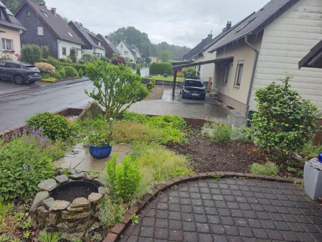 Vorgarten mit Formgehölz und gepflastertem Weg